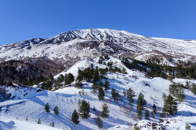 Etna and Alcantara Gorges Excursion - Transport and pickup need careful attention