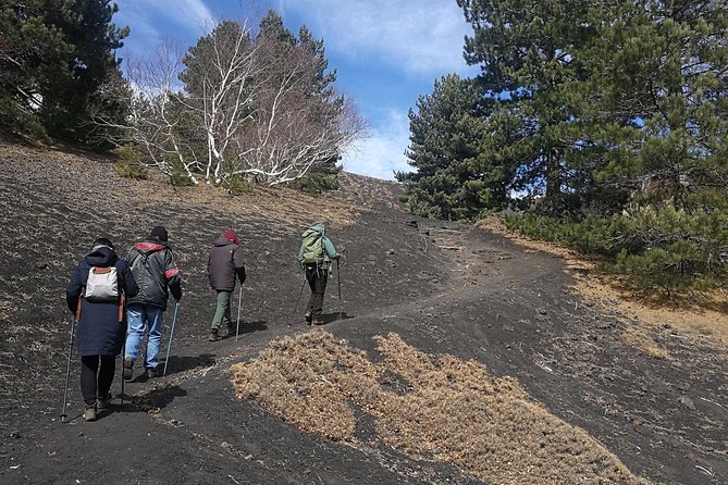 Etna and Taormina con pranzo - Why this Etna day trip works well from Catania