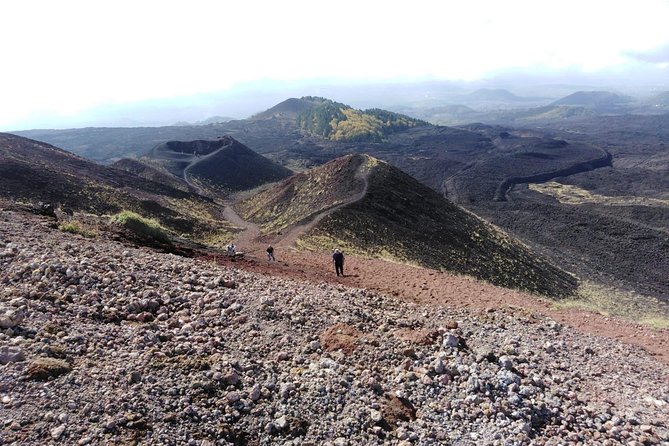 Etna and Taormina Tour from Messina - How the transport affects the day