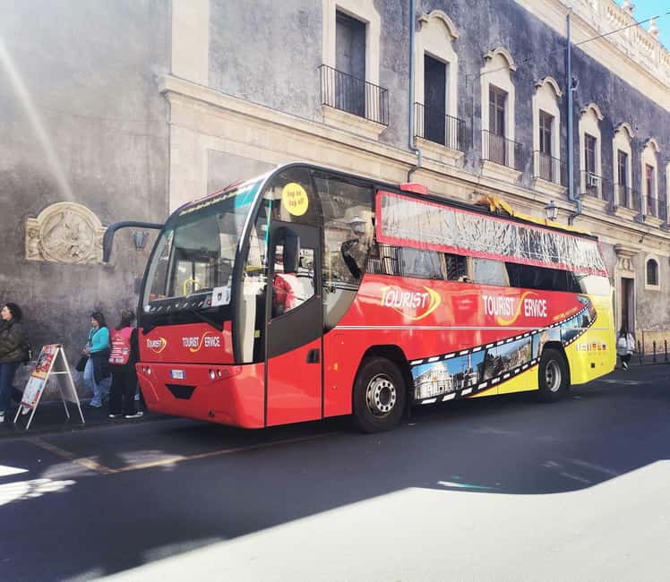 Etna by Panoramic Bus, Audioguide 9 languages, from Catania - Why this Etna bus trip works from Catania