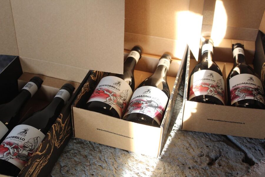 Etna DOC: Board of local products with Tasting of Etna Wines - Three Etna DOC wines at the tasting table