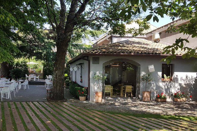 Etna Easy & Winery from Messina, Catania or Taormina/G. Naxos - What the six to seven hours really include