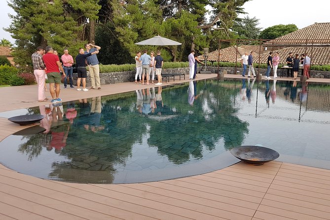 Etna Easy & Winery from Messina, Catania or Taormina/G. Naxos - Who will enjoy this private Sicilian outing?