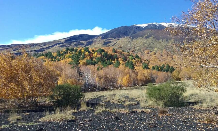 Etna excursion from Taormina and surroundings - Lunch at 1,500 meters