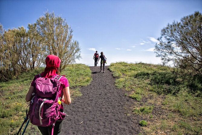 Etna Family Tour Excursion for families with children on Etna - Quick facts for families