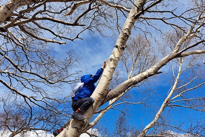 Etna Family Tour Excursion for families with children on Etna - Monti Sartorius: extinct craters and white birch