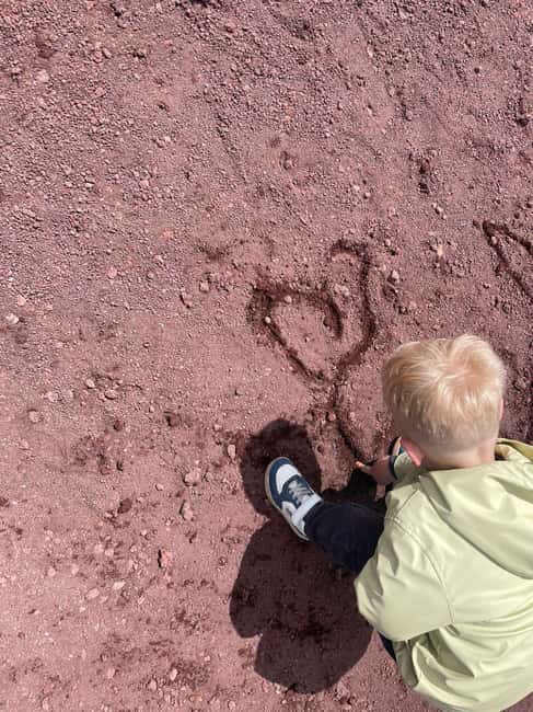 Etna Family Tour: semi-private tour on Etna mt. for families - The value of the $106 price
