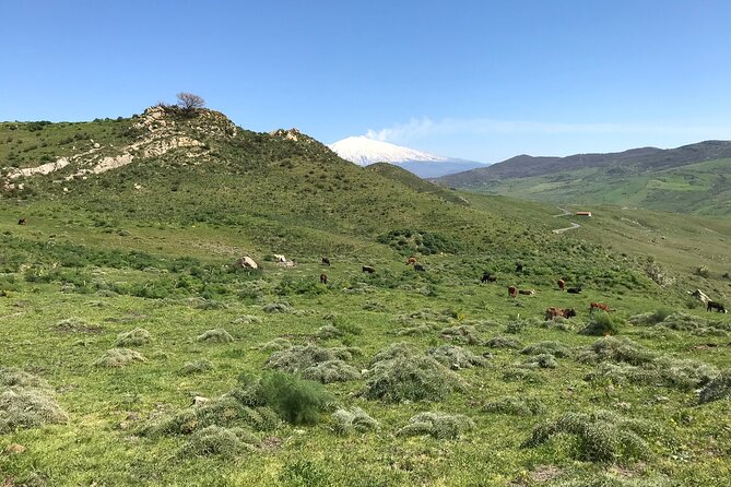 Etna Morning Jeep Tour - Guide quality and language support