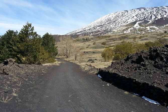 Etna Morning - Pickup Time 08:30 from your Hotel - What the $81.80 price really covers
