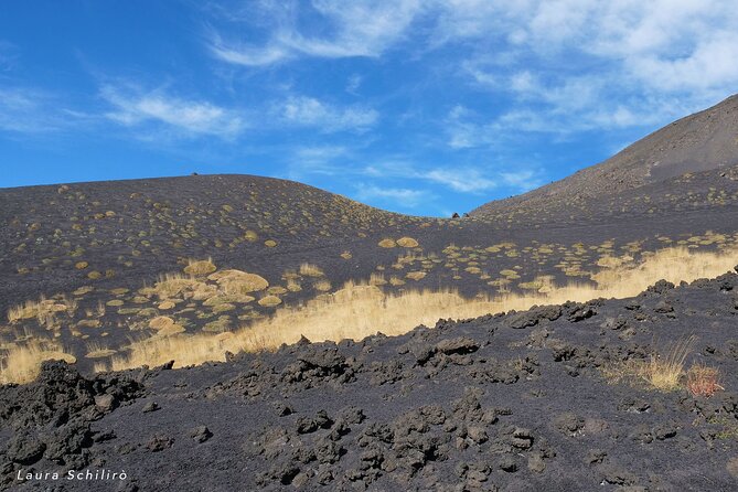 Etna Morning - Pickup Time 08:30 from your Hotel - Who should book this Etna tour?