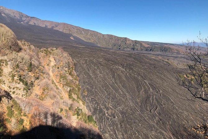 Etna Morning Tour from Catania - Key points at a glance