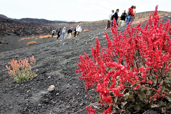 Etna Morning Trip - From Catania to Etna Est
