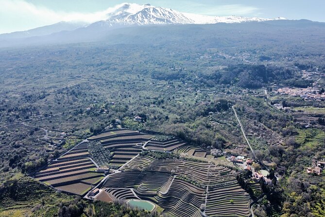 Etna panoramic private tour and Wine taste and food combination - The Etna day at a glance