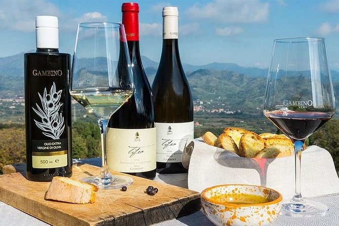 Etna panoramic private tour and Wine taste and food combination - Oro d’Etna brings the volcano back to the table