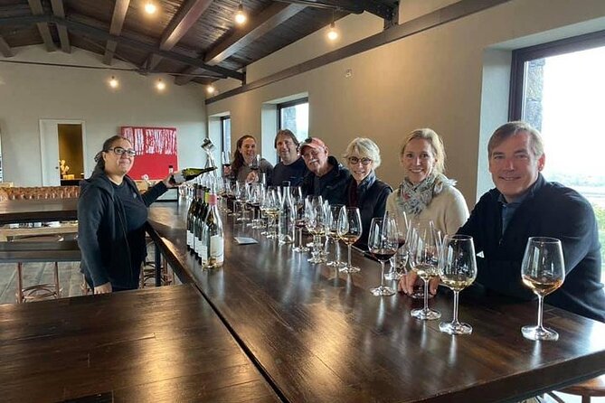Etna panoramic private tour and Wine taste and food combination - Etna wine, lunch, and a vineyard setting