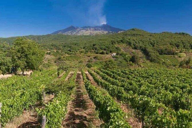 Etna panoramic private tour and Wine taste and food combination - Walking the Silvestri craters at 2,000 meters