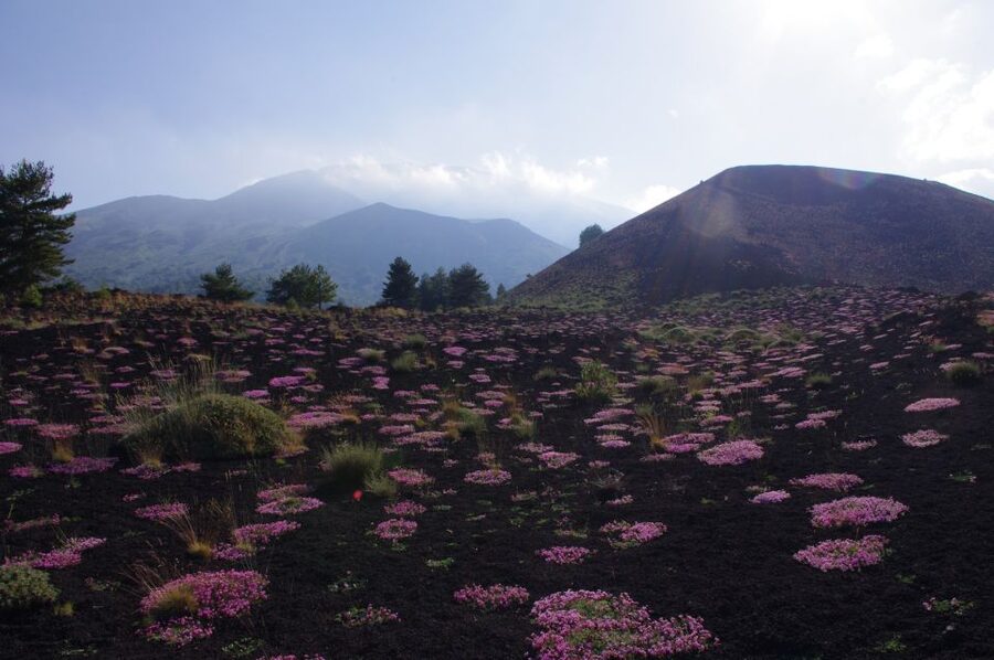 Etna Private Sunset Tour with Prosecco - The crater walk and Ionian coastline view