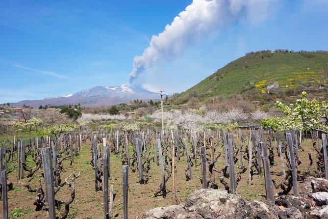 Etna Private tour from Messina Cruise Terminal + Lunch at Winery - Who should book this Etna excursion?