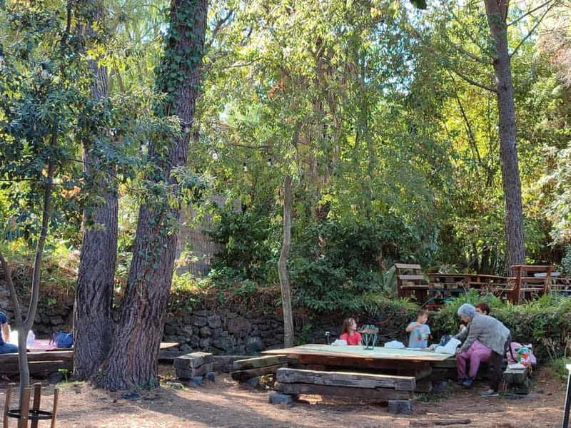 Etna & Sea: Pic Nic in Batia - Key points about the Batia picnic