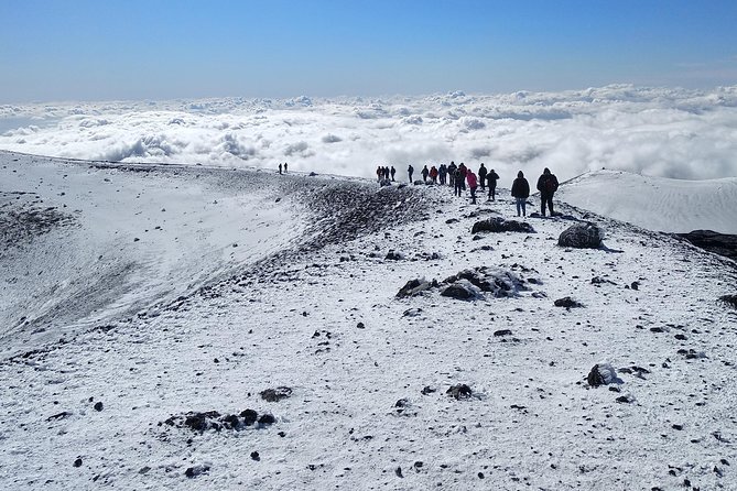 Etna Tour - HalfDay Small Group & licensed Tour Guide - A farm tasting with Etna flavors