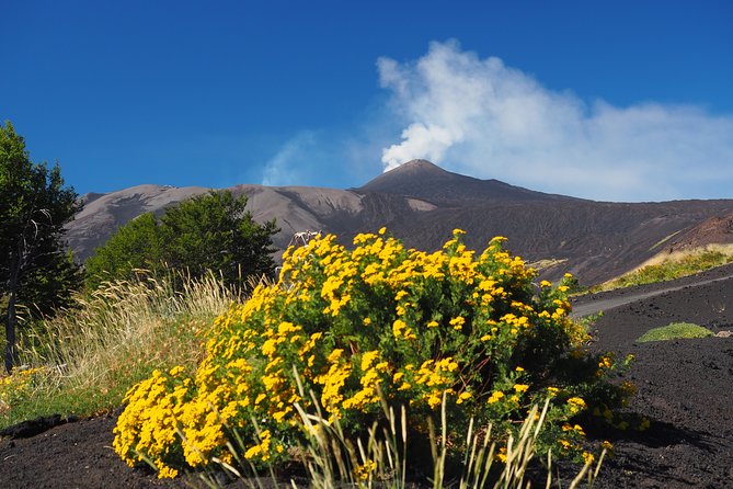 ETNA - Trekking to the Craters Eruption of 2002 - Is the $36.14 price good value?