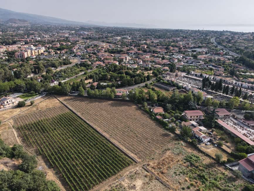 Etna Urban Winery, Vineyard Walk & Sunset Tasting Dinner - Why the wine pairing works well here