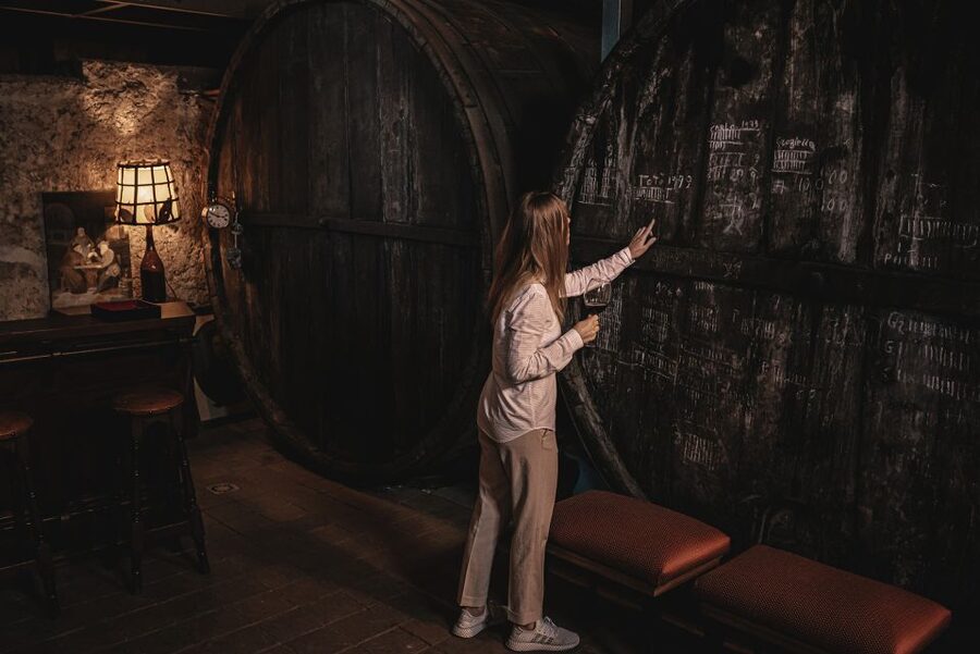 Etna Urban Winery, Vineyard Walk & Sunset Tasting Dinner - The 1790 palmento and the machinery of old Sicily