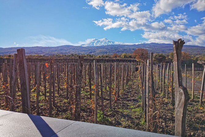 Etna Wine and Alcantara with lunch - Inside the volcanic cave
