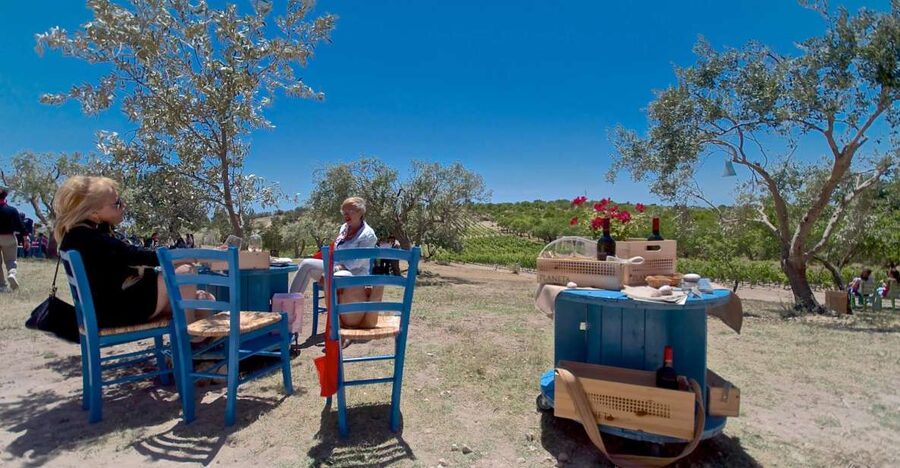 Etna & Wine Private Day Tour - Why pair Mount Etna with wine?