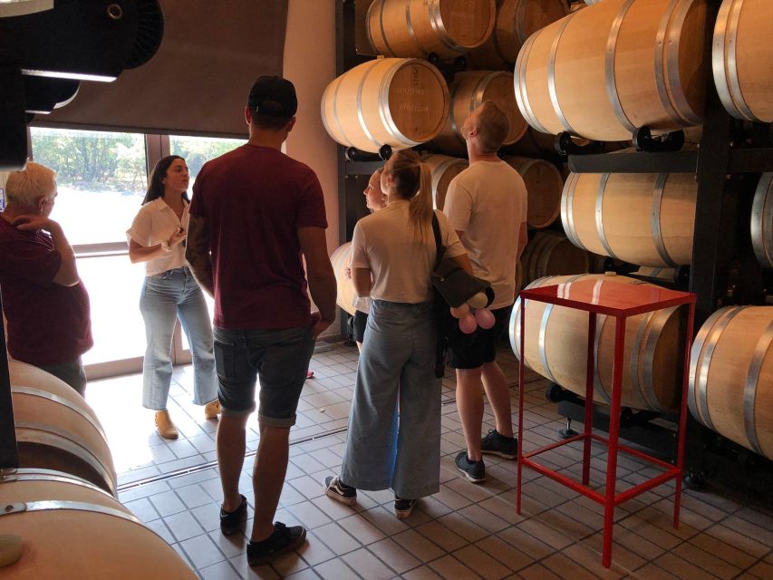 Etna & Wine Private Day Tour - Walking around old craters without a hike