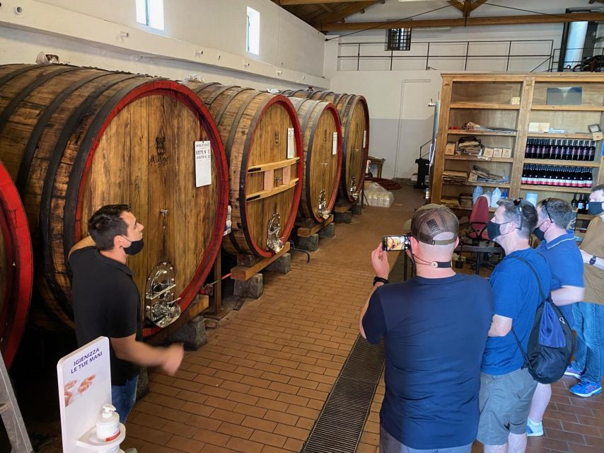 Etna & Wine Private Day Tour - Starting from Catania or Taormina
