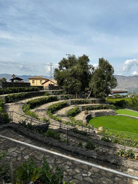 Etna: Wine Tasting and Food Tour - The guides make the difference