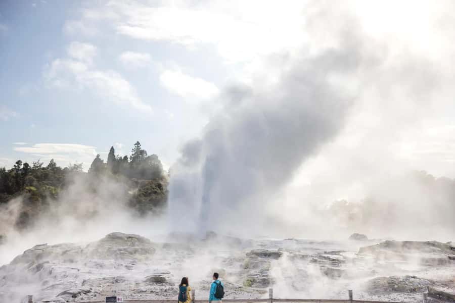 Ex Auckland: TE PUIA Geothermal, Redwood & Blue Springs - A 15-minute pause in creative Tirau