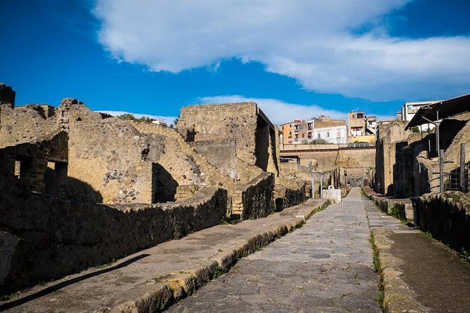 Exclusive Pompeii with Wine and Lunch on Vesuvius-Skip-the-line - Antiquarium and the human cost of the eruption