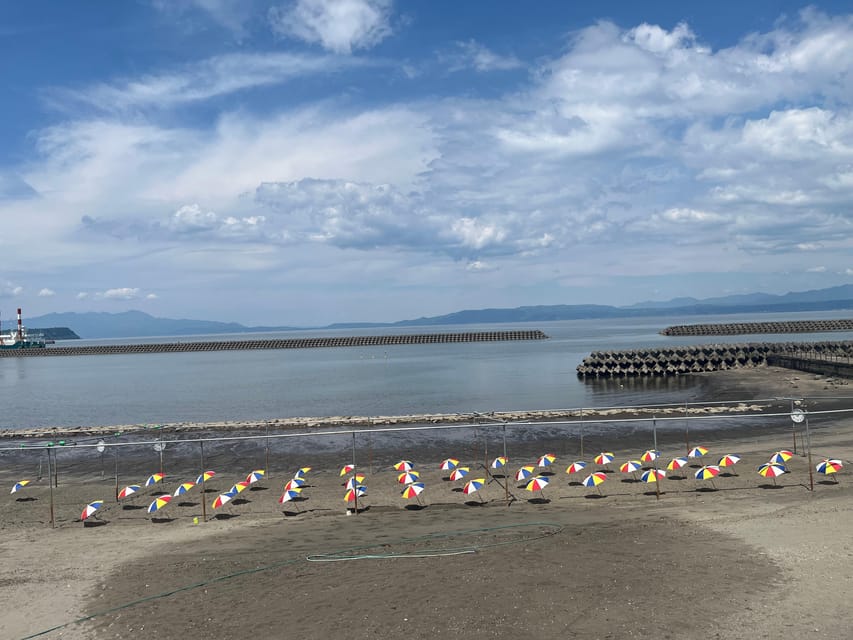 Experience the blessings of volcanoes in Kagoshima, Kyushu - Why Ibusuki makes a great day from Kagoshima
