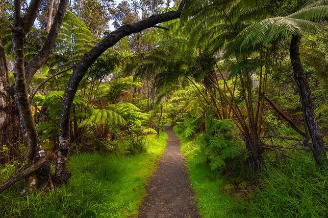 Expert Led Private Guided Tour Hawaii Volcanoes National Park - Kilauea: the main event