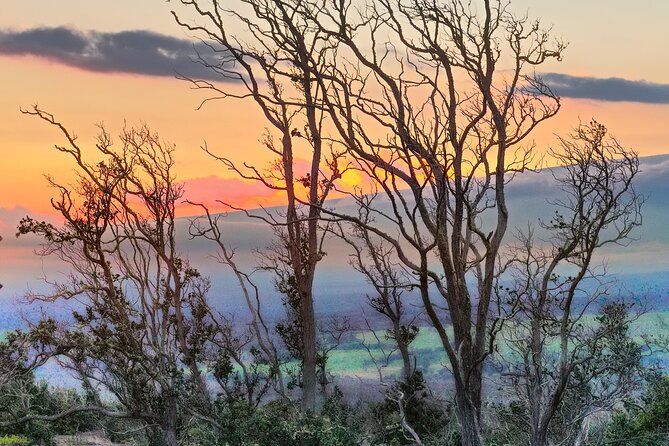 Expert Led Private Guided Tour Hawaii Volcanoes National Park - What the $600 price buys you