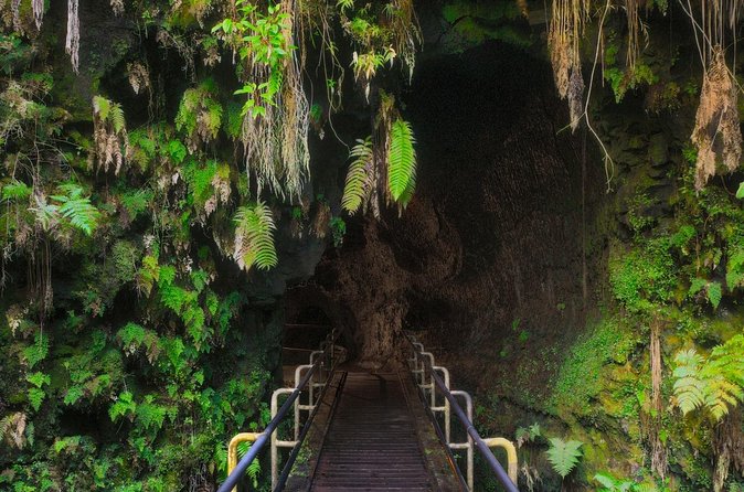 Expert Led Private Guided Tour Hawaii Volcanoes National Park - Practical details that affect your day