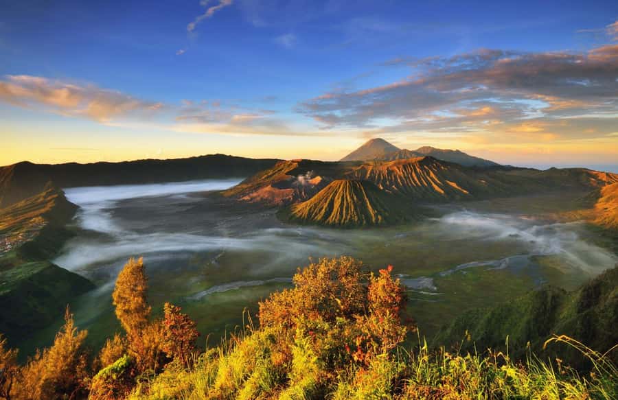 Explore Mount Bromo and Ijen Crater in 3 Days from Bali - Day 3: Ijen’s blue flames before sunrise