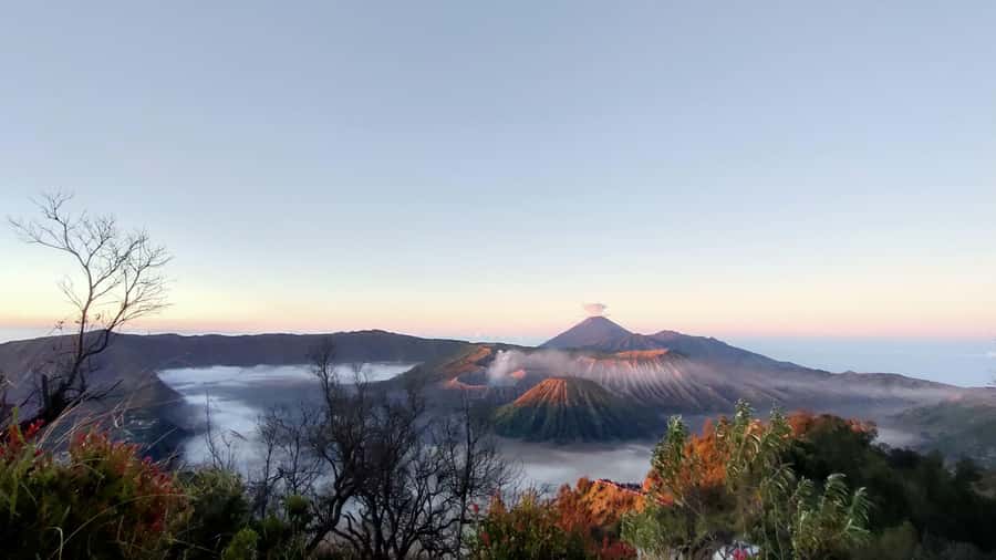 Explore Mount Bromo and Ijen Crater in 3 Days from Bali - Day 1: From Bali to Mount Bromo