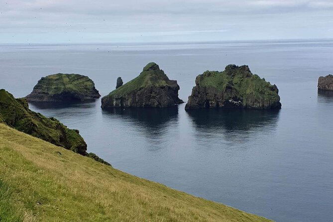 Eyjascooter volcano tour in Westman Island - Puffins close to the route