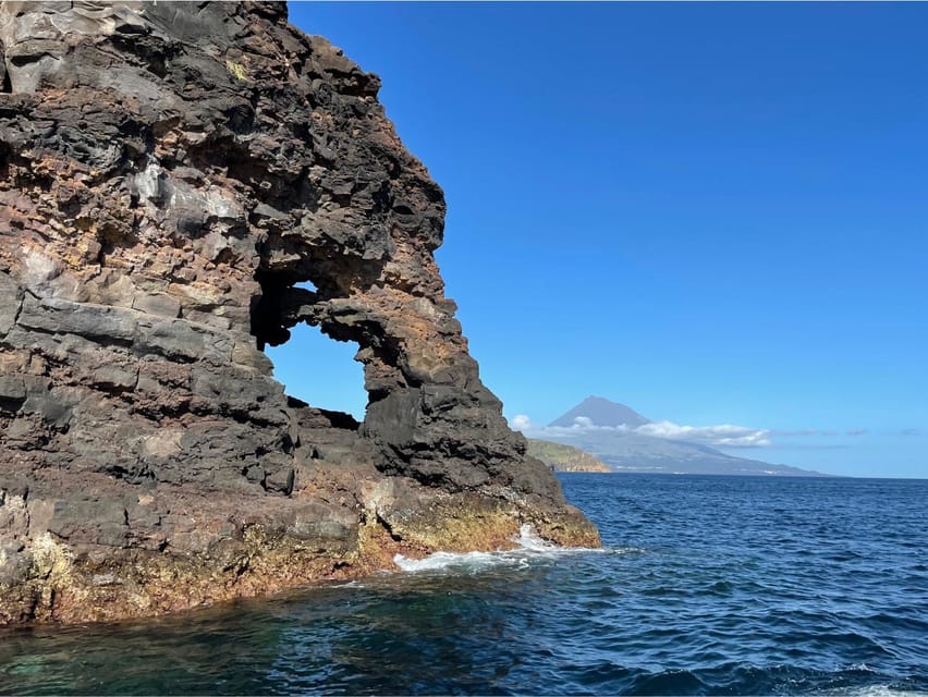 Faial Island: Unique boat tour to the Capelinhos volcano - Is $88 a good value?