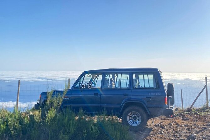 Fanal Forest, Skywalk & Lava Pools: West Madeira 4x4 Expedition - Cabo Girão starts the day above the Atlantic