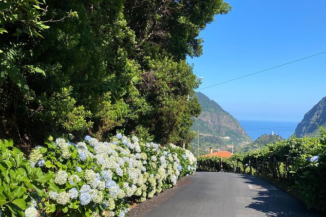 Fanal Forest, Skywalk & Lava Pools: West Madeira 4x4 Expedition - Two hours at Porto Moniz make the day practical