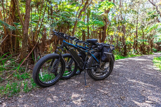 Fat Tire E-Bike Rental - Volcanoes National Park - Self-guided freedom versus a guided tour
