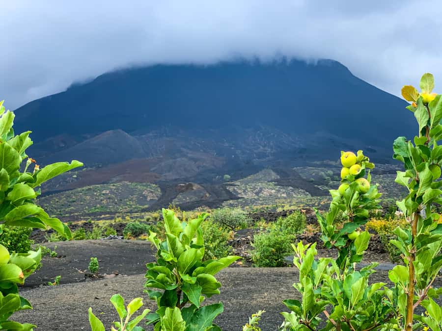 Fogo Island: Pico do Fogo Volcano Summit Hike - Key points to know before you go