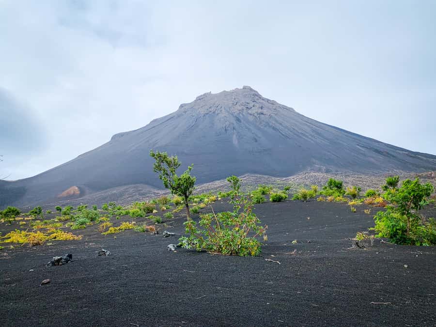 Fogo Island: Pico do Fogo Volcano Summit Hike - Hotel pickup and the road toward Chã das Caldeiras