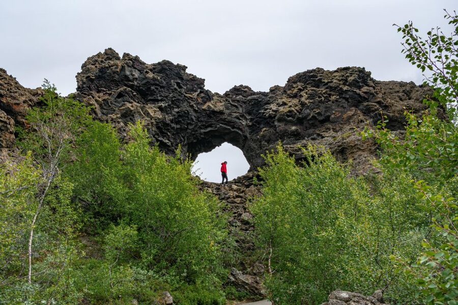 From Akureyri: Myvatn Lake, Craters, & Waterfall Tour - Who will enjoy this tour most?