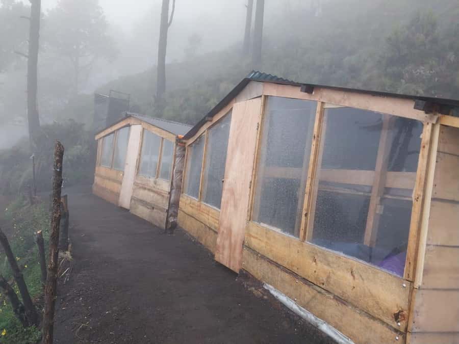 From Antigua: 2-Day Acatenango Volcano Hiking with Guide - Should you book the Acatenango two-day hike?