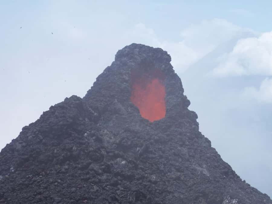 From Antigua: Pacaya Volcano Day Hike - The descent through forest and farmland